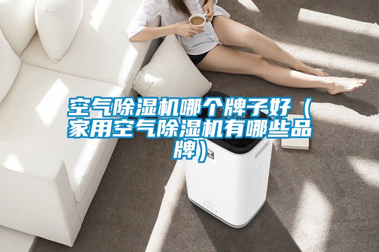 空气茄子视频懂你更多在线观看哪个牌子好（家用空气茄子视频懂你更多在线观看有哪些品牌）