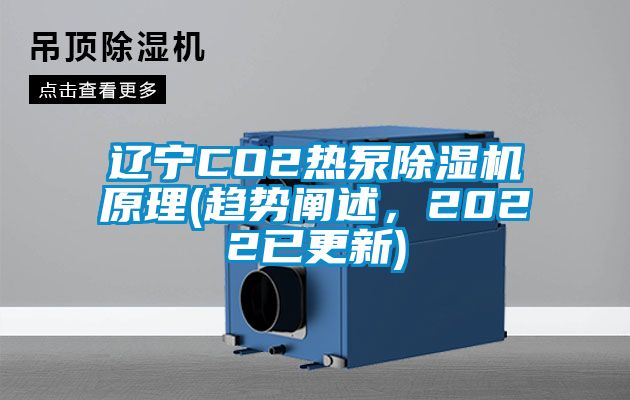 辽宁CO2热泵茄子视频懂你更多在线观看原理(趋势阐述，2022已更新)