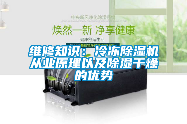 维修知识：冷冻茄子视频懂你更多在线观看从业原理以及除湿干燥的优势