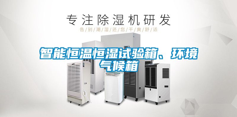 智能恒温恒湿试验箱、环境气候箱