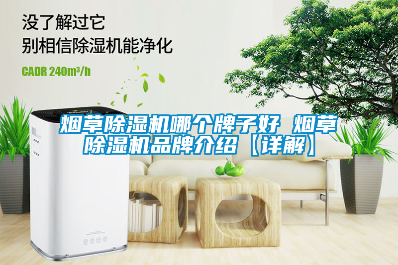 烟草茄子视频懂你更多在线观看哪个牌子好 烟草茄子视频懂你更多在线观看品牌介绍【详解】