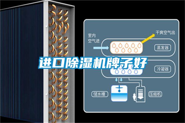 进口茄子视频懂你更多在线观看牌子好