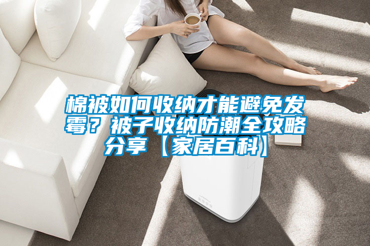 棉被如何收纳才能避免发霉？被子收纳防潮全攻略分享【家居百科】