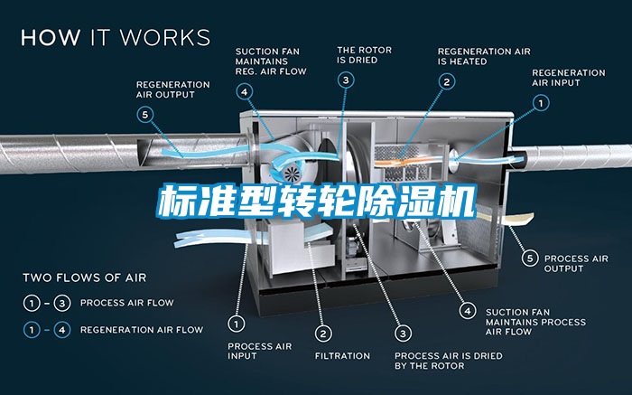 标准型转轮茄子视频懂你更多在线观看