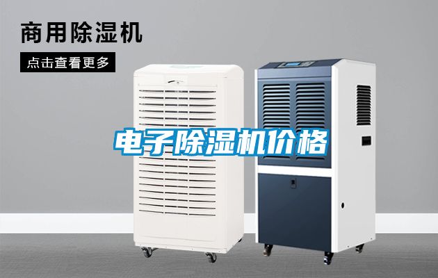 电子茄子视频懂你更多在线观看价格