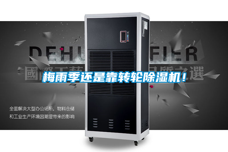 梅雨季还是靠转轮茄子视频懂你更多在线观看！