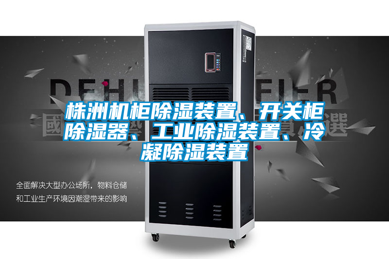 株洲机柜除湿装置、开关柜除湿器、工业除湿装置、冷凝除湿装置