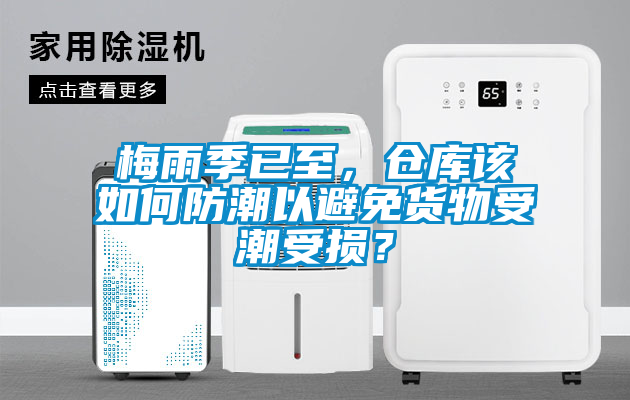 梅雨季已至，仓库该如何防潮以避免货物受潮受损？