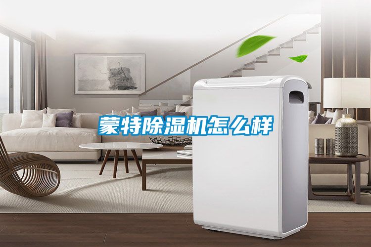 蒙特茄子视频懂你更多在线观看怎么样