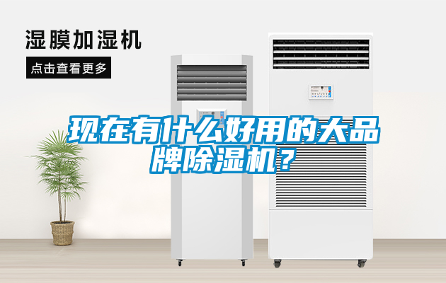 现在有什么好用的大品牌茄子视频懂你更多在线观看？
