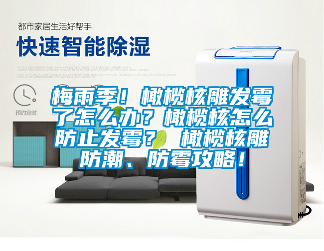 梅雨季！橄榄核雕发霉了怎么办？橄榄核怎么防止发霉？ 橄榄核雕防潮、防霉攻略！
