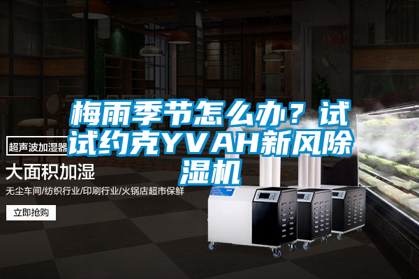 梅雨季节怎么办？试试约克YVAH新风茄子视频懂你更多在线观看
