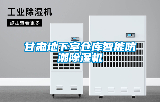 甘肃地下室仓库智能防潮茄子视频懂你更多在线观看