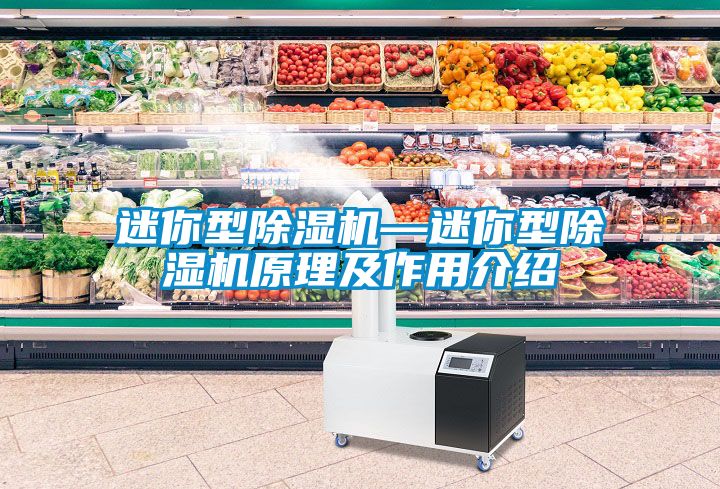 迷你型茄子视频懂你更多在线观看—迷你型茄子视频懂你更多在线观看原理及作用介绍