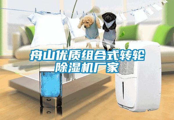 舟山优质组合式转轮茄子视频懂你更多在线观看厂家