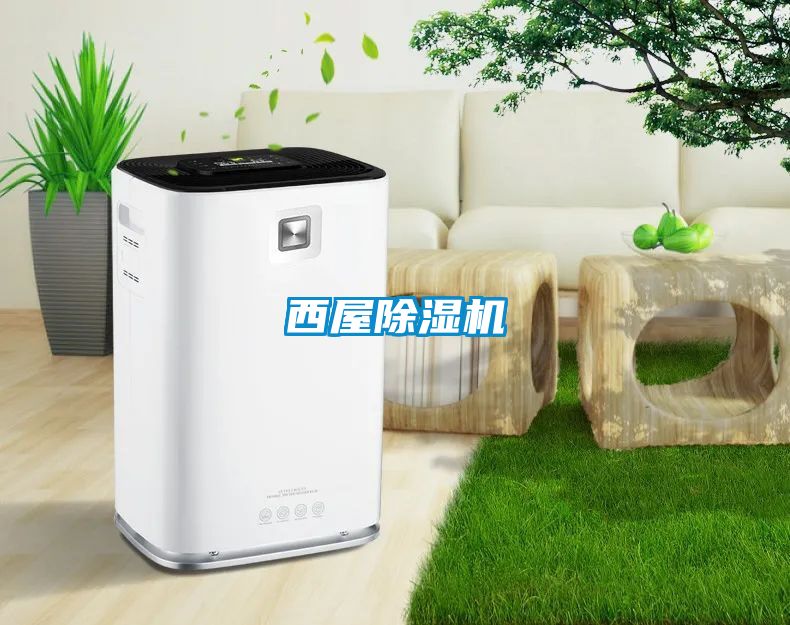 西屋茄子视频懂你更多在线观看