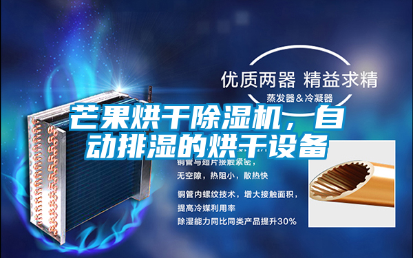 芒果烘干茄子视频懂你更多在线观看，自动排湿的烘干设备