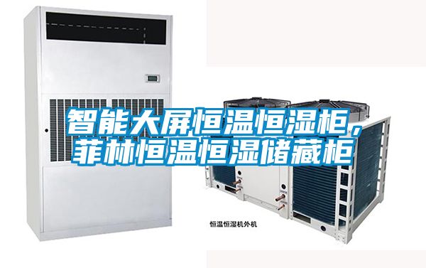 智能大屏恒温恒湿柜，菲林恒温恒湿储藏柜