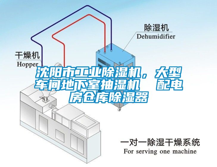 沈阳市工业茄子视频懂你更多在线观看，大型车间地下室抽湿机  配电房仓库除湿器