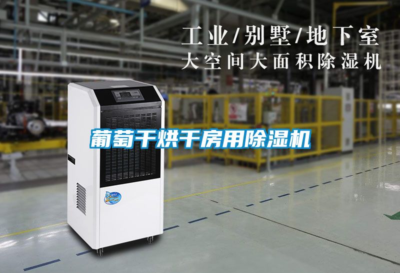 葡萄干烘干房用茄子视频懂你更多在线观看