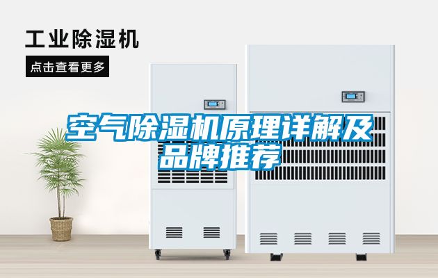 空气茄子视频懂你更多在线观看原理详解及品牌推荐