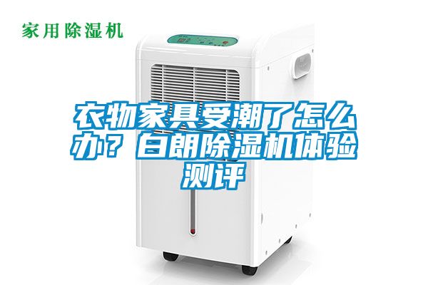 衣物家具受潮了怎么办？白朗茄子视频懂你更多在线观看体验测评