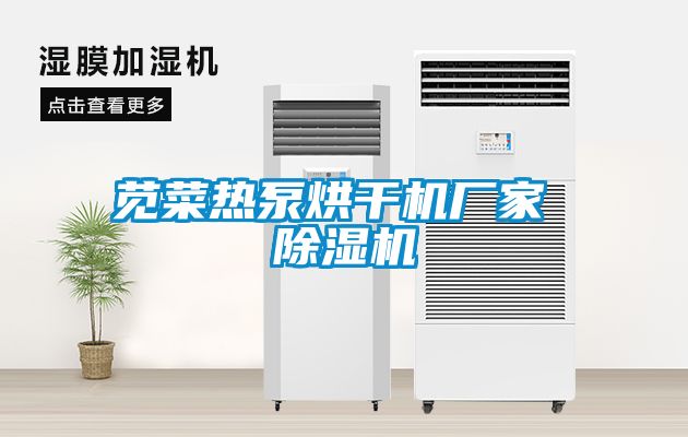 苋菜热泵烘干机厂家 茄子视频懂你更多在线观看