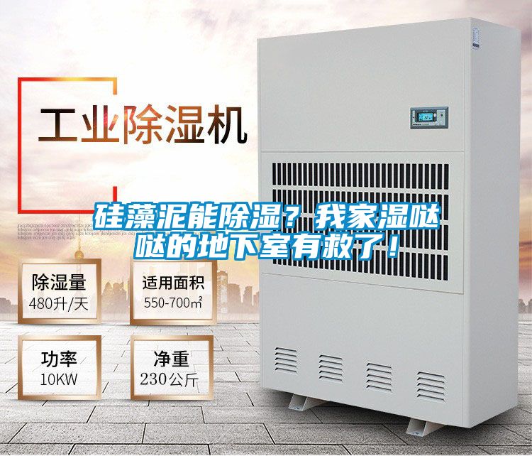 硅藻泥能除湿？我家湿哒哒的地下室有救了！