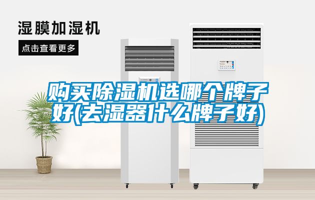 购买茄子视频懂你更多在线观看选哪个牌子好(去湿器什么牌子好)
