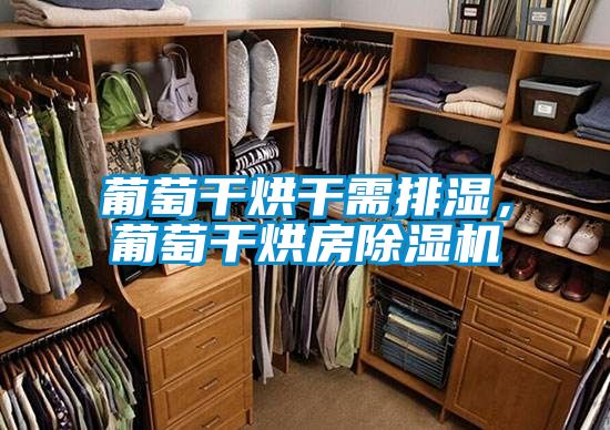 葡萄干烘干需排湿，葡萄干烘房茄子视频懂你更多在线观看