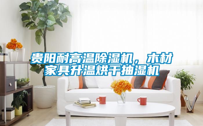 贵阳耐高温茄子视频懂你更多在线观看，木材家具升温烘干抽湿机