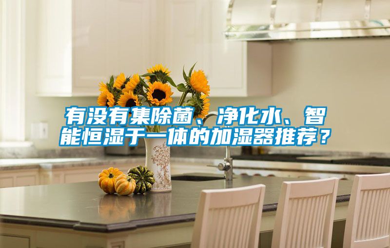 有没有集除菌、净化水、智能恒湿于一体的加湿器推荐？