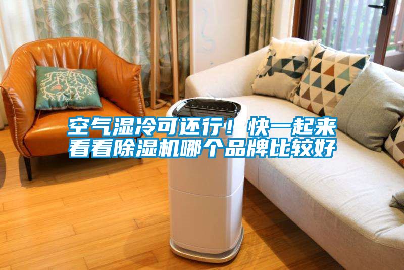 空气湿冷可还行！快一起来看看茄子视频懂你更多在线观看哪个品牌比较好