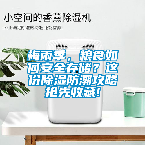 梅雨季，粮食如何安全存储？这份除湿防潮攻略抢先收藏!