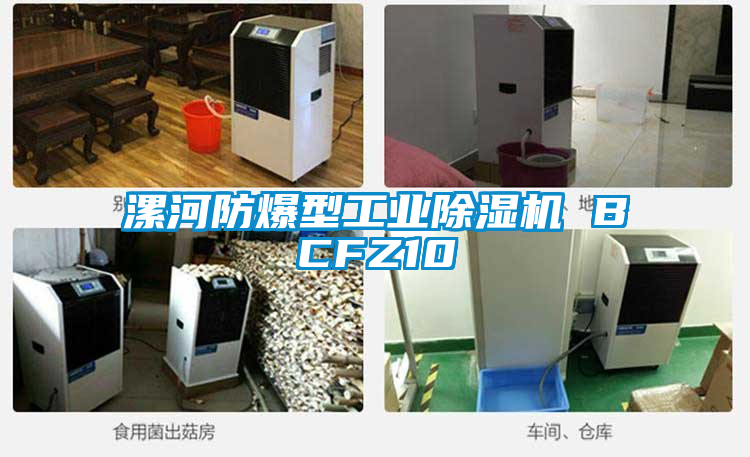 漯河防爆型工业茄子视频懂你更多在线观看 BCFZ10