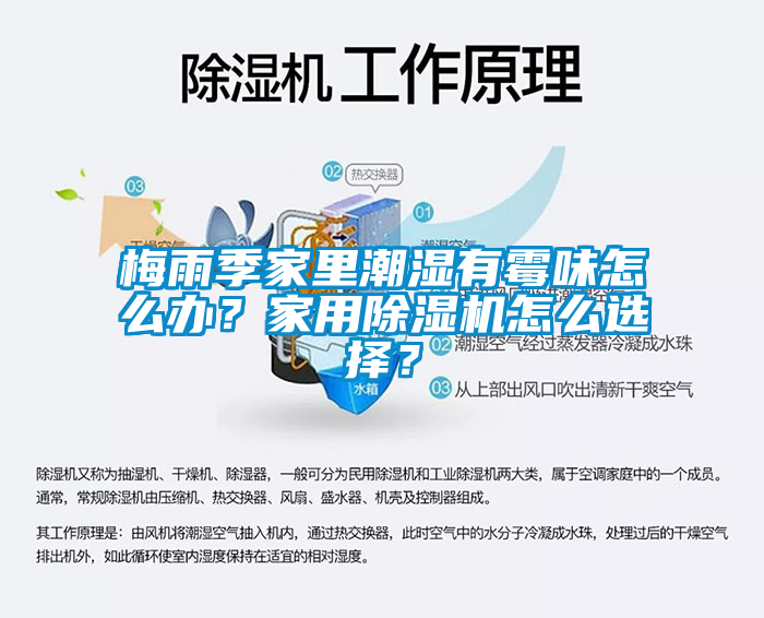 梅雨季家里潮湿有霉味怎么办？家用茄子视频懂你更多在线观看怎么选择？