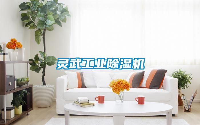 灵武工业茄子视频懂你更多在线观看