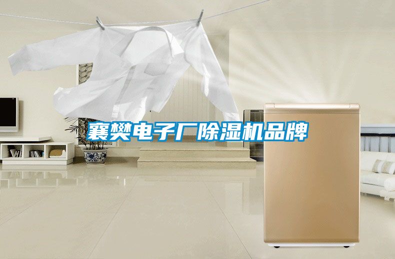 襄樊电子厂茄子视频懂你更多在线观看品牌