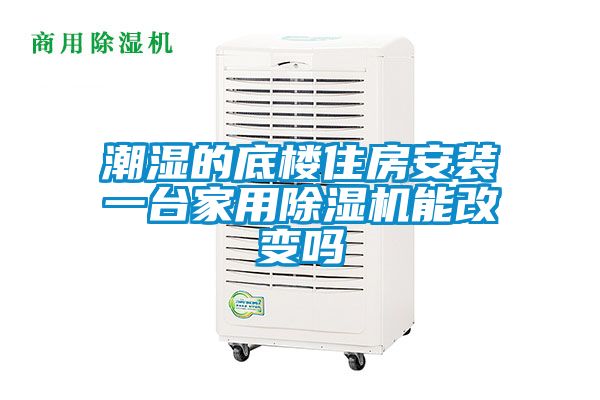 潮湿的底楼住房安装一台家用茄子视频懂你更多在线观看能改变吗