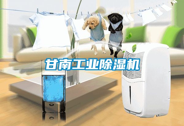 甘南工业茄子视频懂你更多在线观看