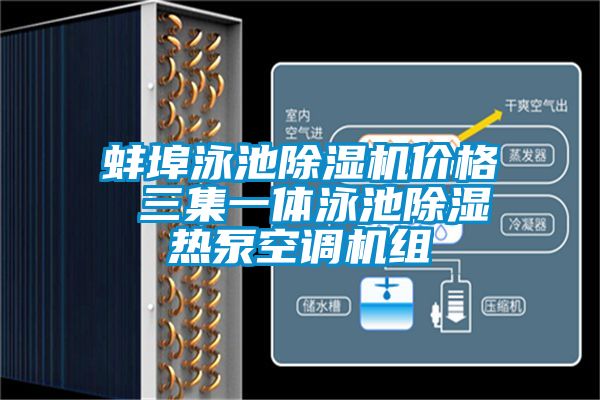 蚌埠泳池茄子视频懂你更多在线观看价格 三集一体泳池除湿热泵空调机组