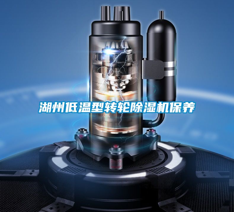 湖州低温型转轮茄子视频懂你更多在线观看保养
