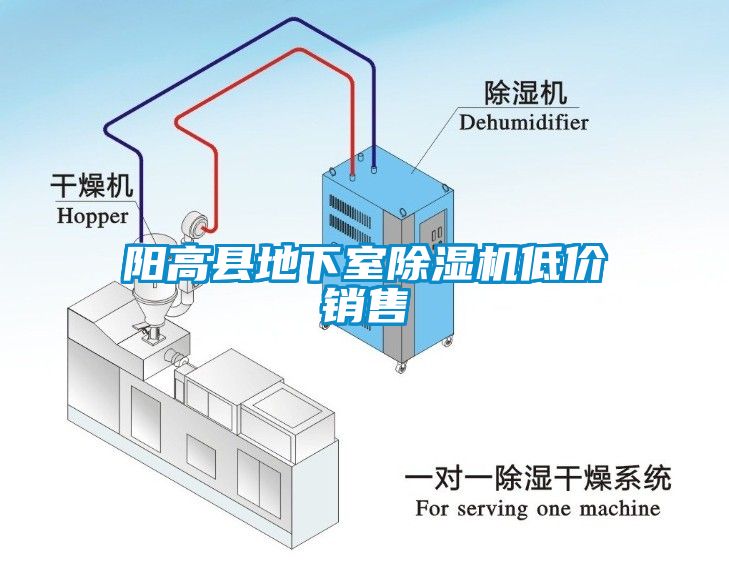 阳高县地下室茄子视频懂你更多在线观看低价销售