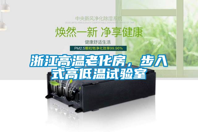 浙江高温老化房，步入式高低温试验室