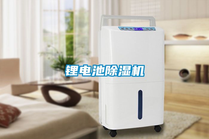 锂电池茄子视频懂你更多在线观看