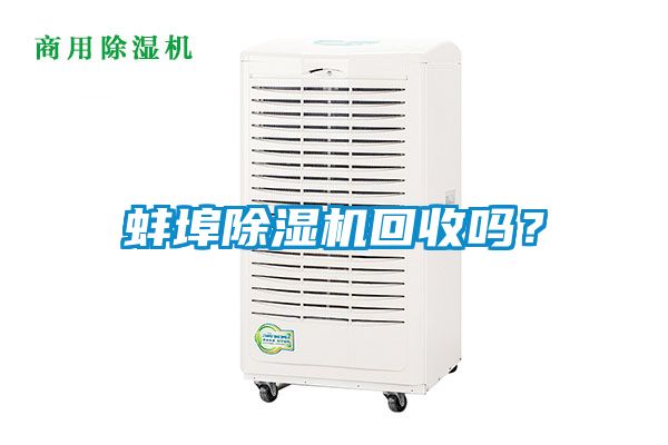 蚌埠茄子视频懂你更多在线观看回收吗？