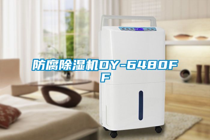 防腐茄子视频懂你更多在线观看DY-6480FF
