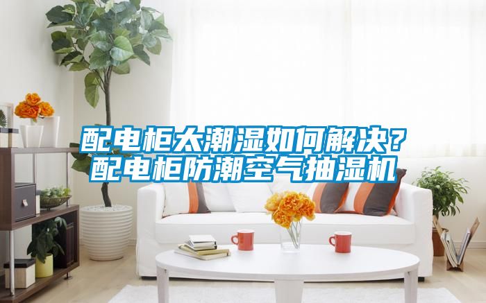 配电柜太潮湿如何解决？配电柜防潮空气抽湿机