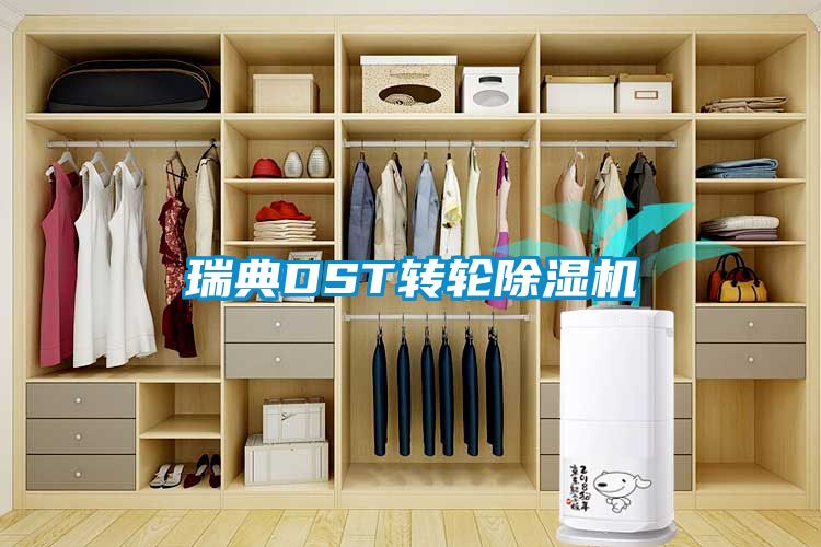 瑞典DST转轮茄子视频懂你更多在线观看