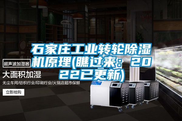 石家庄工业转轮茄子视频懂你更多在线观看原理(瞧过来：2022已更新)